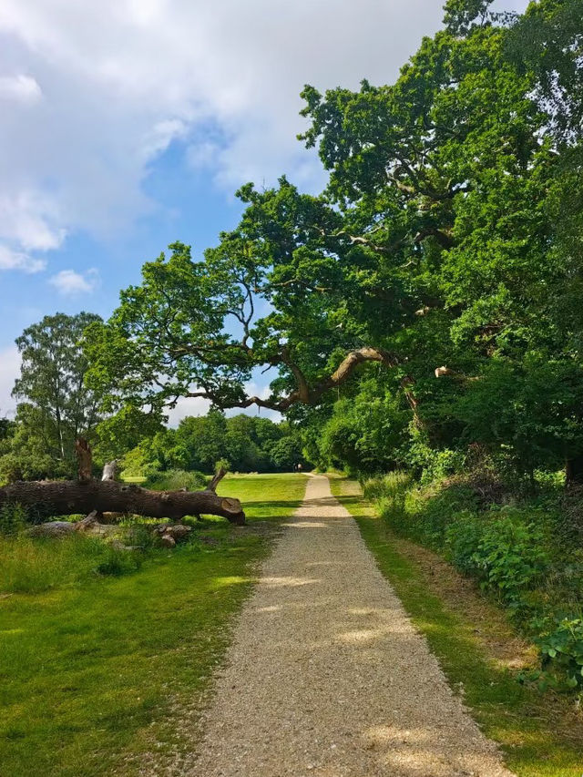 A Day in Southampton — Where History Meets the Sea