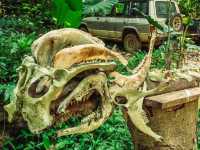 Giant Catfish Farm: A Peaceful Hidden Spot in Krabi