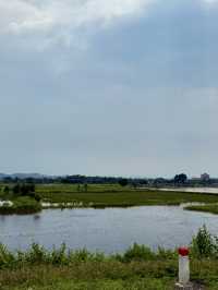 Ninh Binh’s Wetland Zen – The Road Less Traveled