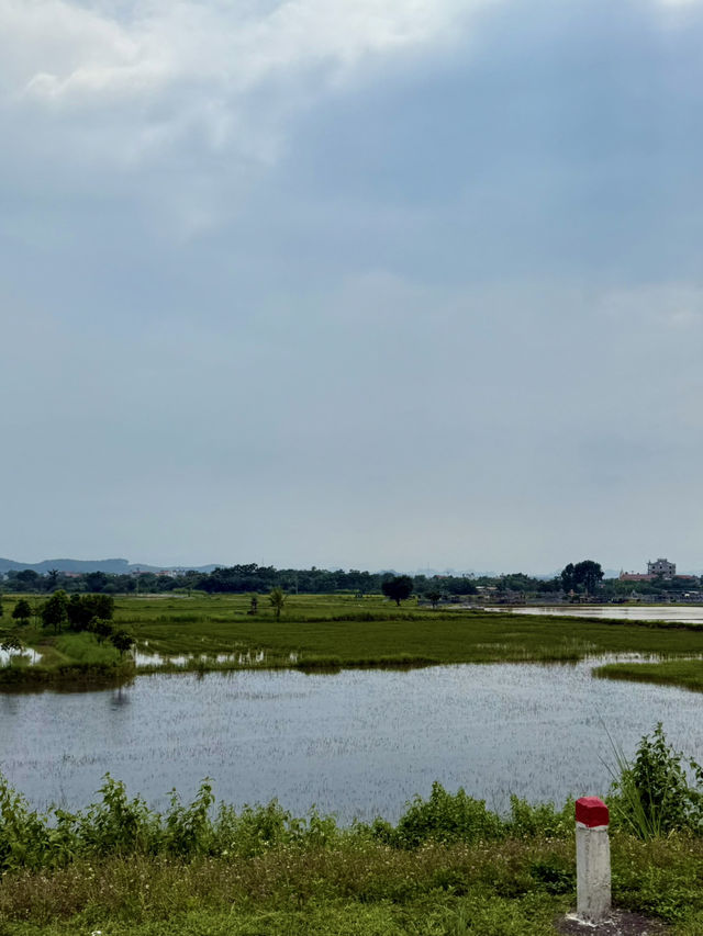 Ninh Binh’s Wetland Zen – The Road Less Traveled