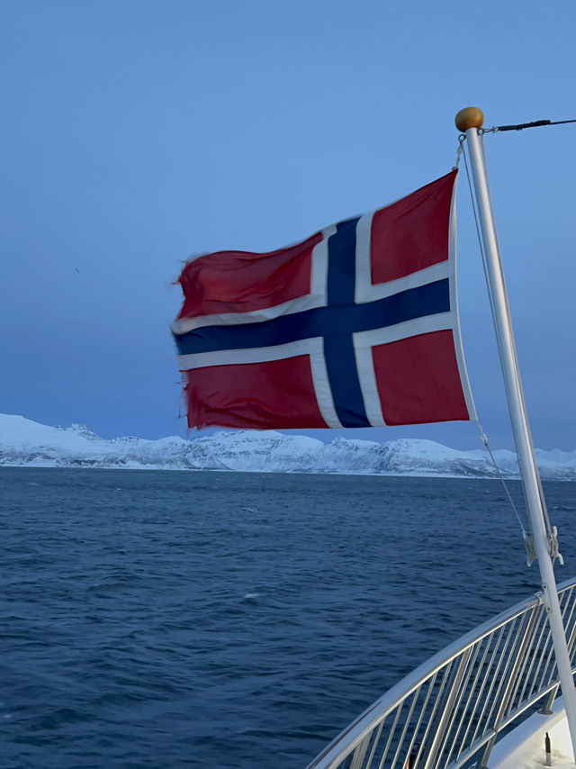 追寻极光的北极之心｜特罗姆瑟 Tromsø