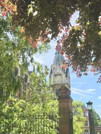 🇬🇧 Cambridge Curiosities: Scholarly Strolls Through History and Knowledge 🎓