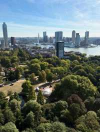 Top Halloween Attractions in Rotterdam 🎃👻