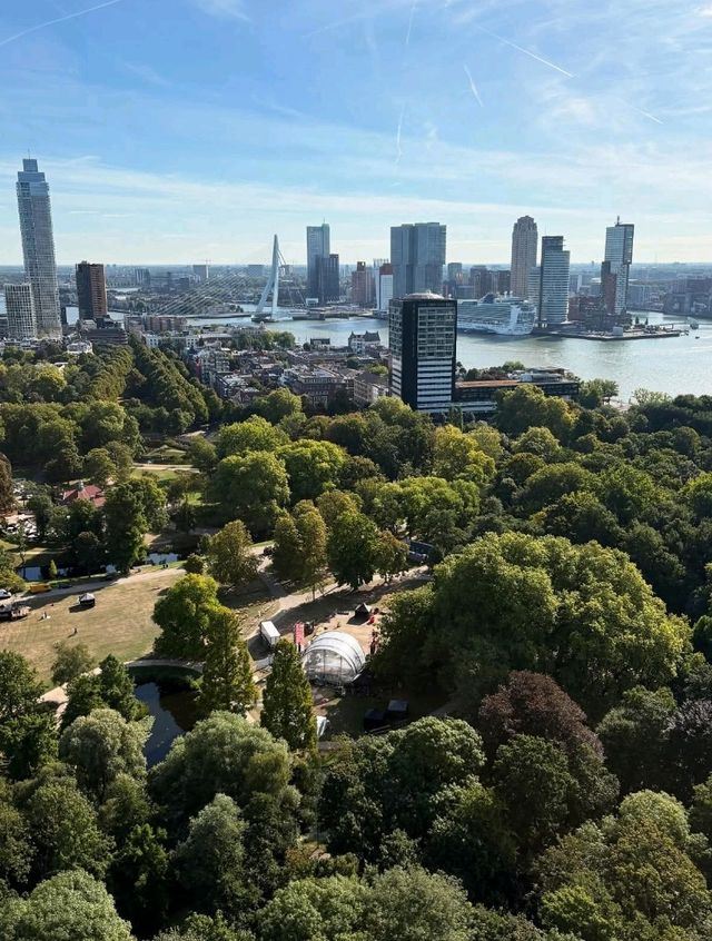 Top Halloween Attractions in Rotterdam 🎃👻
