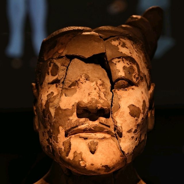 Terracotta Army, Hall of Cultural Relics / 2025 Terracotta Army, Hall of Cultural Relics / 2025