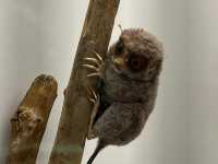 Wonders of Nature — A Day at Naturkundemuseum Karlsruhe 🇩🇪  