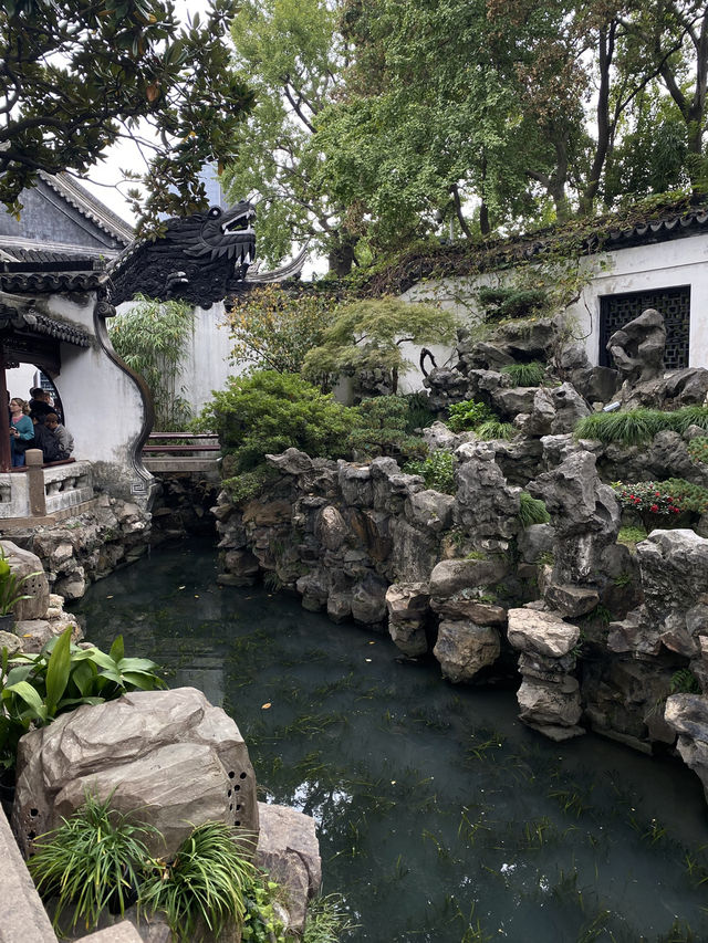 🪷День 2 -Сад Юйюань, старый город и деловой центр Шанхая 🪷День 2 -Сад Юйюань, старый город и деловой центр Шанхая