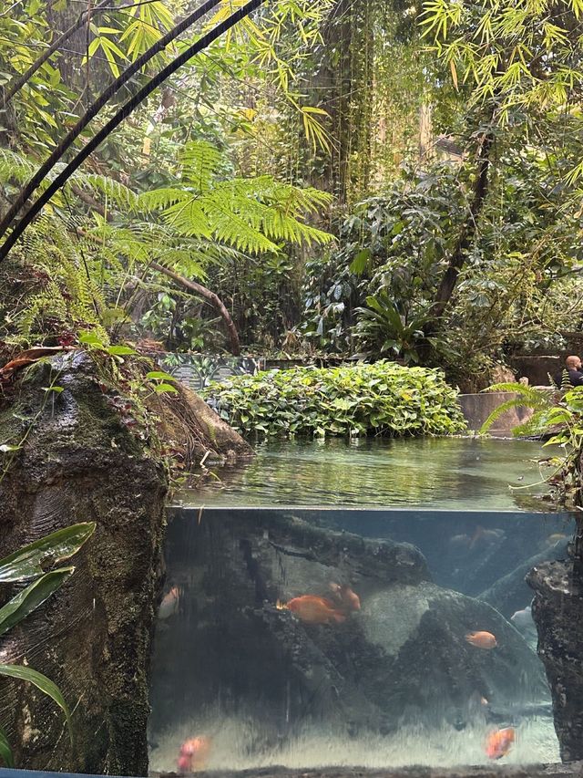 🐠 Istanbul Aquarium: what you’ll see, ticket prices & how to plan your visit 🇹🇷