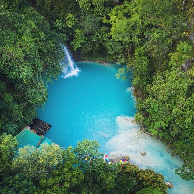 The “Southern Queen” of the Philippines! 🌴