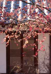 Korean Bukchon Hanok Traditional Village