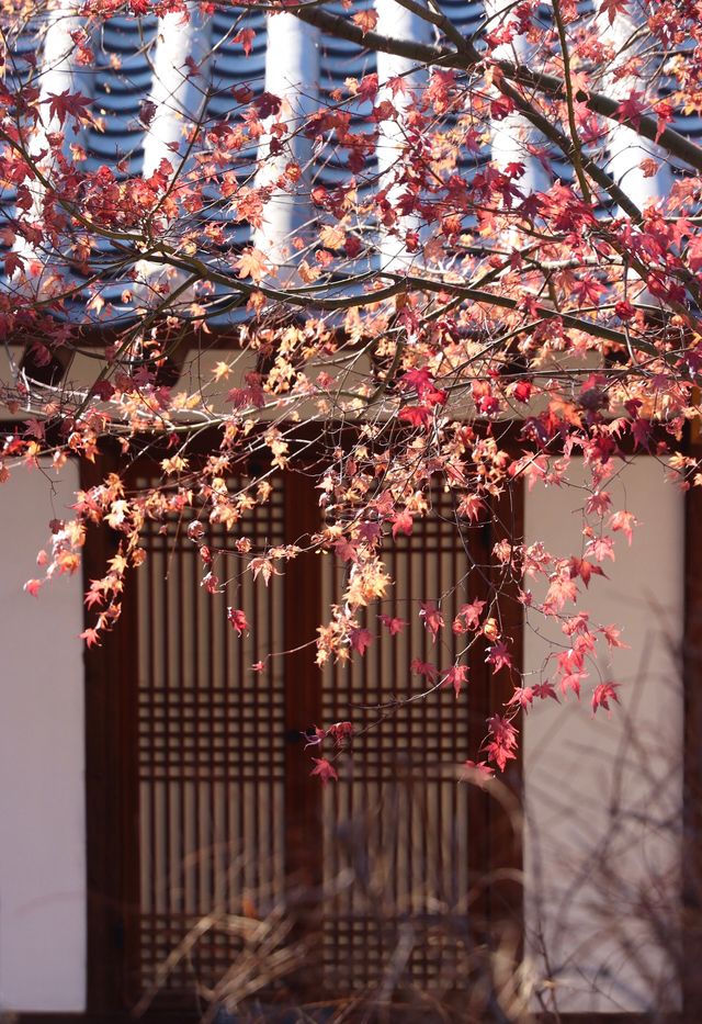 Korean Bukchon Hanok Traditional Village