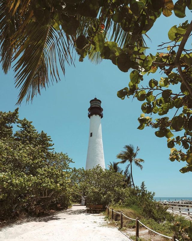 Bike Adventures in Fort Lauderdale: Discovering the Scenic Bike Trails! 🚲🏝️