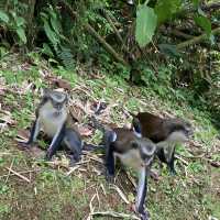A little tour around Grenada 