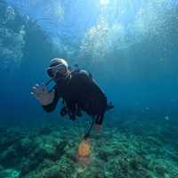 Down in the deep blue sea, my first Scuba