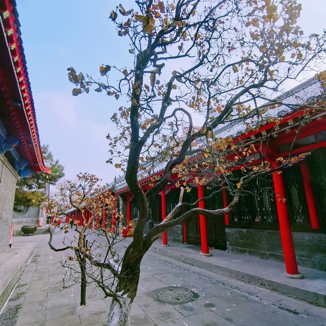 沈陽慈恩寺冬遊