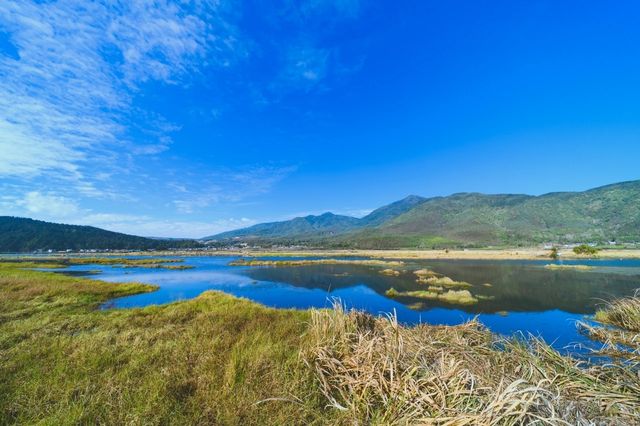 觀鳥聖地，冬日靜謐美好：騰衝北海濕地