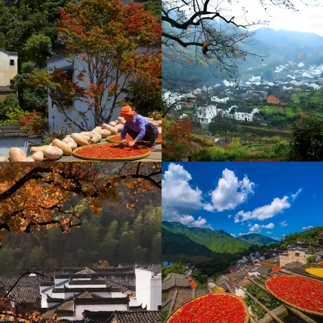 Travel through history, explore the prosperity and charm of a thousand years, Wuyuan welcomes the most beautiful autumn colors