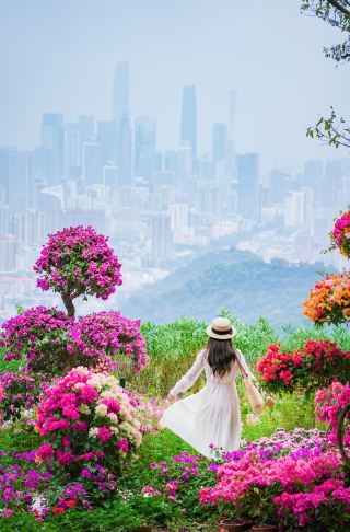 It's really beautiful! The Baiyun Mountain Flower Show is here! Save the detailed guide quickly