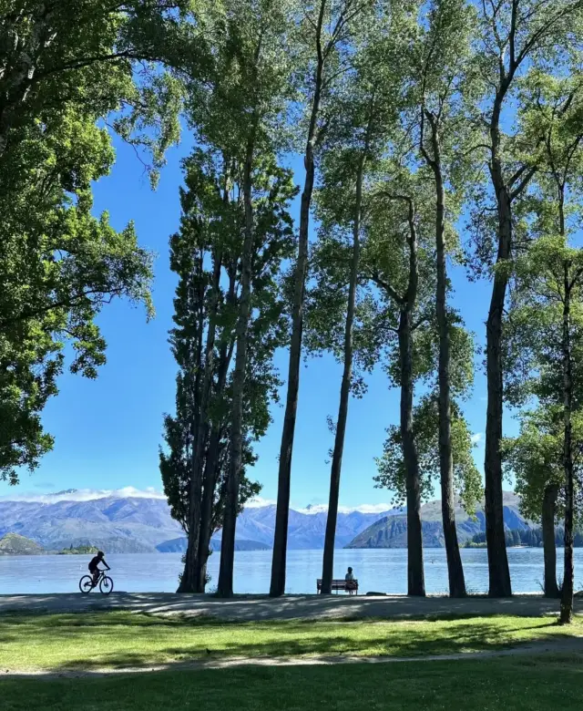 The town of Wanaka is lush with green grass, opening up a romantic holiday for you