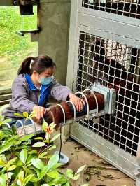 免費開放紅山動物園巨好逛全新攻略來啦