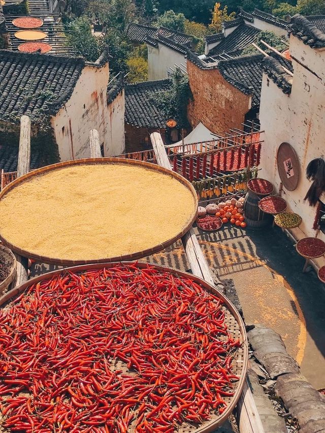 婺源之旅：探寻上坦村與三眼橋，然後抵達美麗的篁嶺