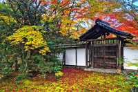京都與京都塔：古老與現代的完美融合