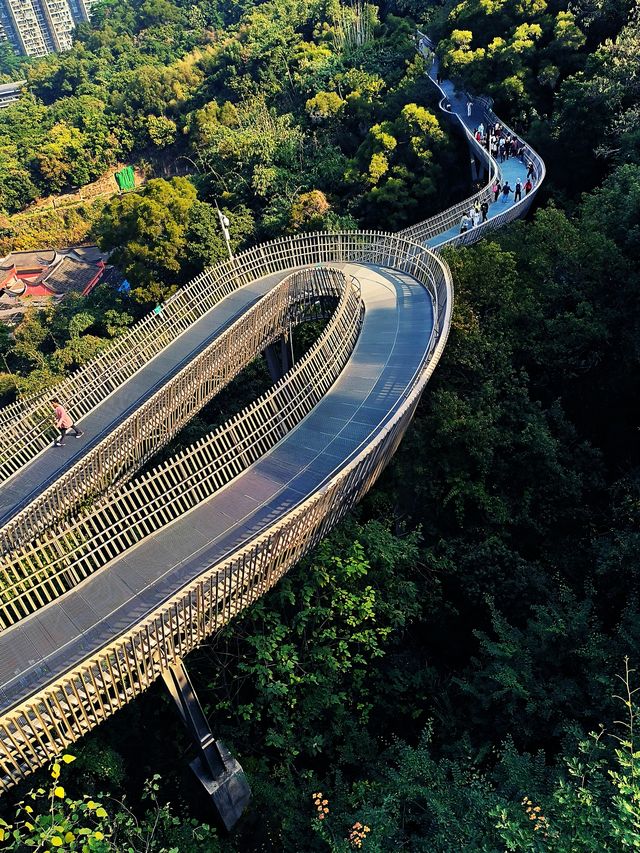 福州這條城市森林步道，不愧是有福之道！