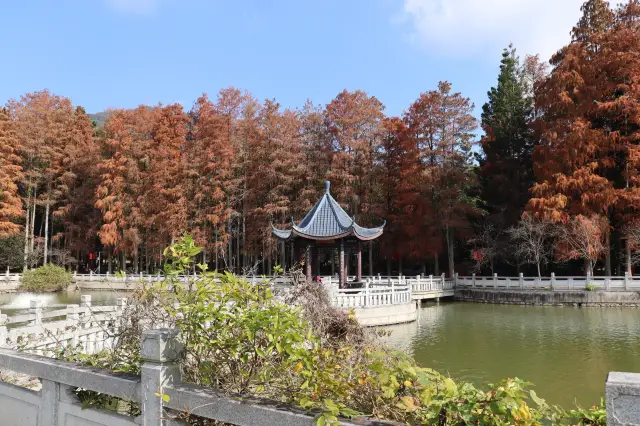 森林公園賞美景（一）