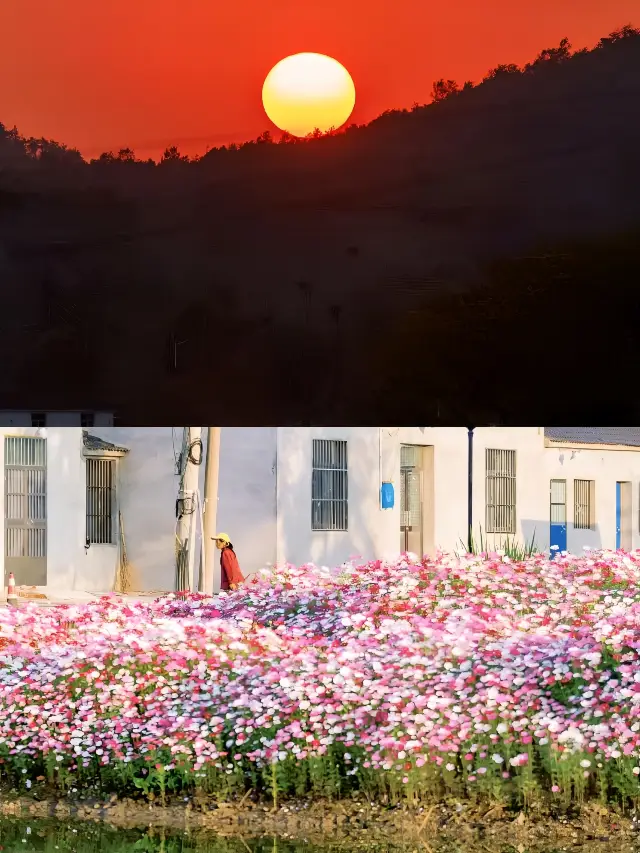 2023 ปีฉันสะสม 12 จุดที่นานกิงที่ไม่เป็นที่นิยม