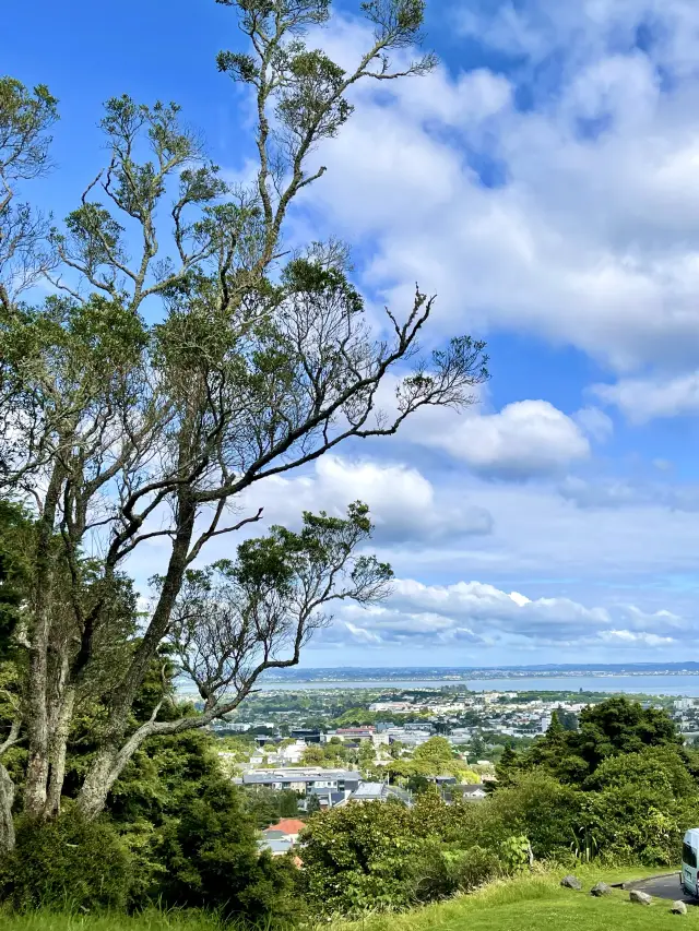 Climb to the top of Mount Eden and overlook the entire city of Auckland surrounded by the sea