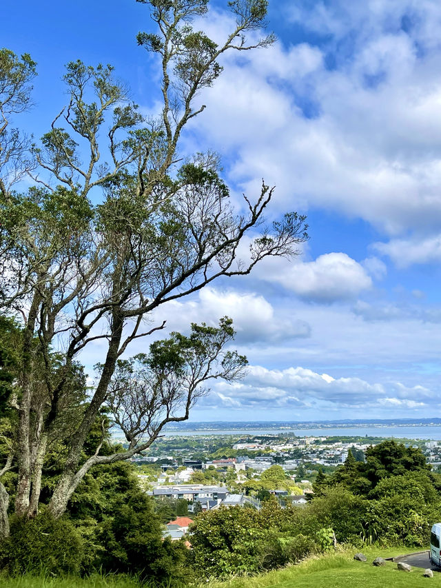 登頂伊甸山 俯瞰環海奧克蘭全城