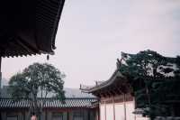 唐朝風格的寺廟，護城河相伴，美得讓人心醉！