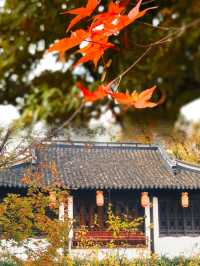 魔都以"十畝之園!歷史上是個私家園林!