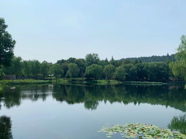 今日份良渚遛娃|美麗洲公園也太美了吧