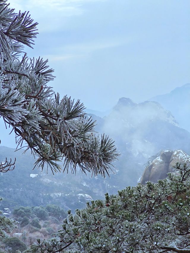 雪後天柱山宛若寫意山水畫！雪天攻略來啦！