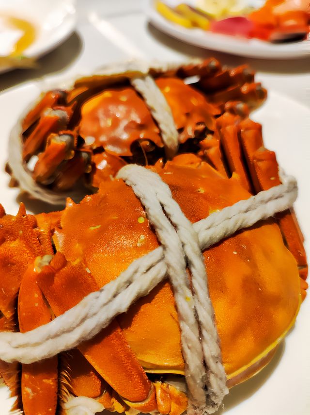 冬日泡湯吃喝玩樂好去處
