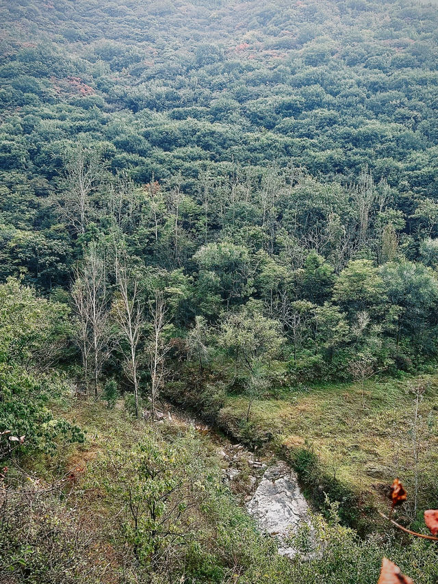 鄭州周邊遊｜秋天去山裡看紅葉葉