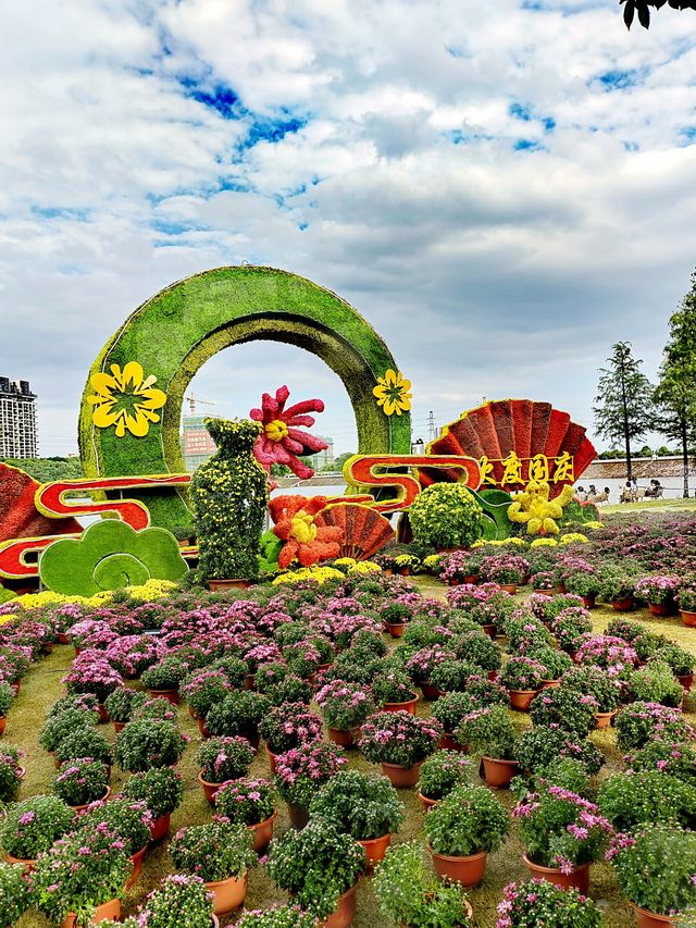 義烏植物園，菊韻醉金秋