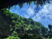 你想看什麼樣的風景，我們一起來感受大自然吧！