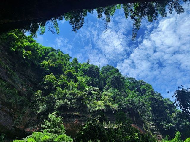 你想看什麼樣的風景，我們一起來感受大自然吧！