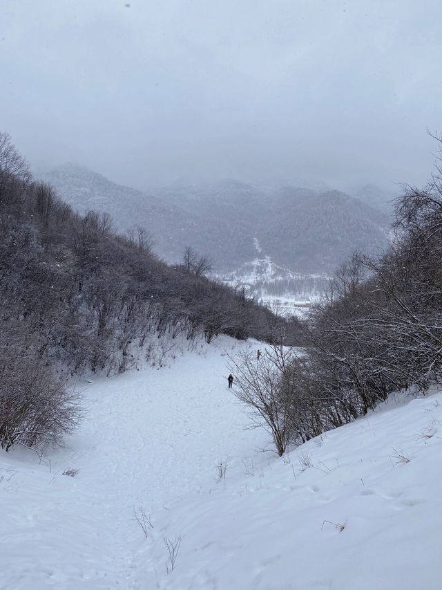 重慶巫溪紅池壩｜遠離喧囂與嘈雜的水墨雪景