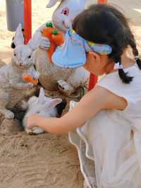 打卡樂華城動物園，瘋狂暴走一日遊！