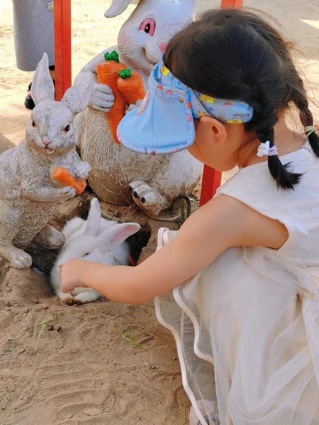 打卡樂華城動物園，瘋狂暴走一日遊！