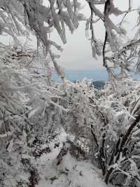 元寶山國家森林公園