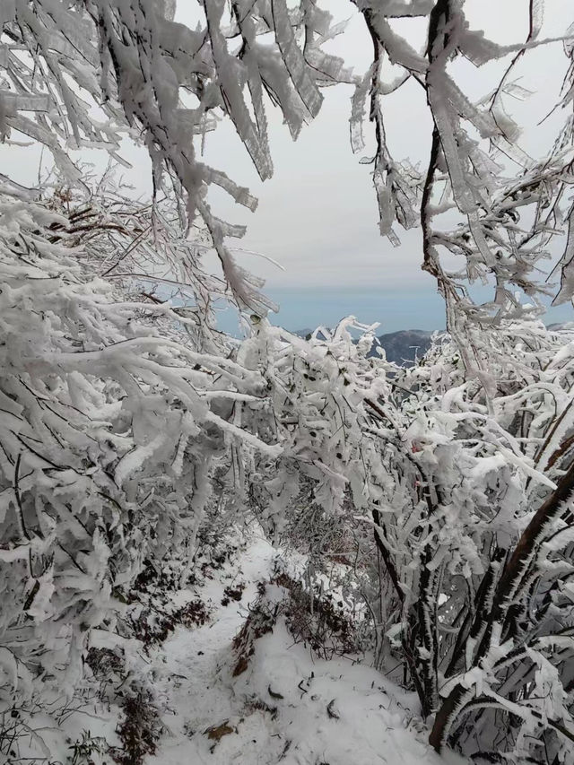 元寶山國家森林公園