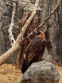 北京動物園冬日隨拍