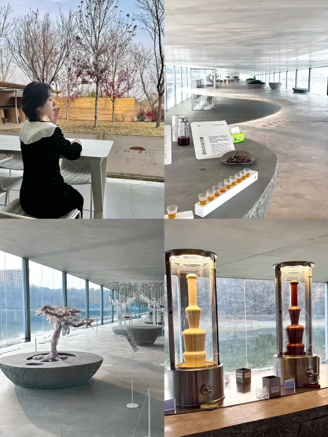 Jinan Surrounding Tour/Nothing that a chocolate waterfall can't solve!