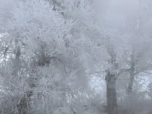冬がすぐに終わるので、霧氷の美しい風景を早く見てください