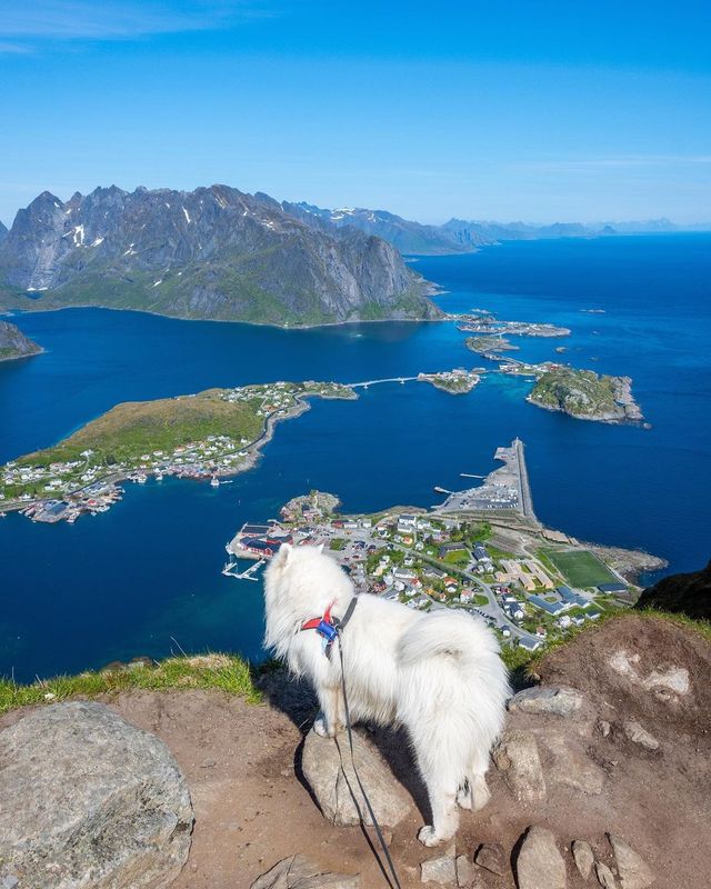 😝🫶 Unleashing the Adventure! Epic Hiking in Reinebringen, Norway 🏔️🌲