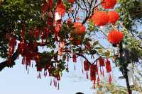 武夷山｜碧水丹山間的一味大紅袍